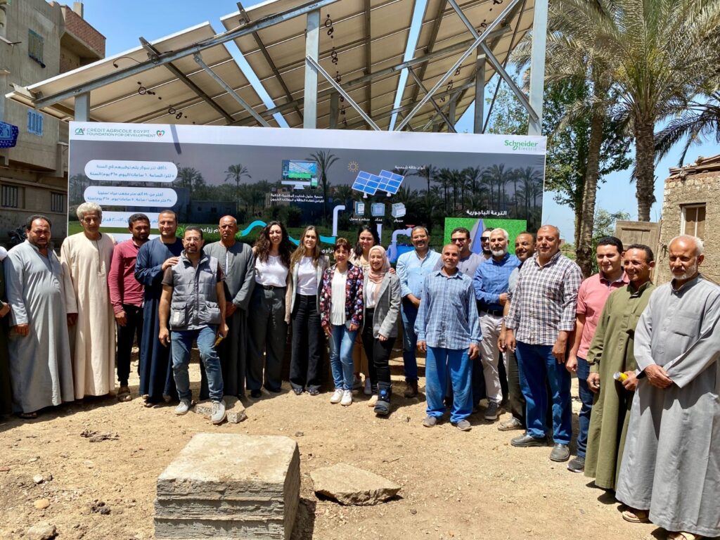 مؤسسة كريدي أجريكول مصر للتنمية وشنايدر إلكتريك