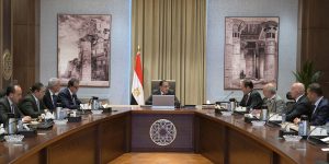 رئيس الوزراء يلتقي المدير التنفيذى لشركة "جنرال إلكتريك هيلثكير"